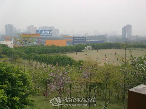 201103271779.jpg