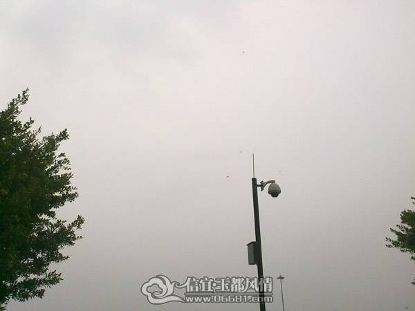 201103271785.jpg