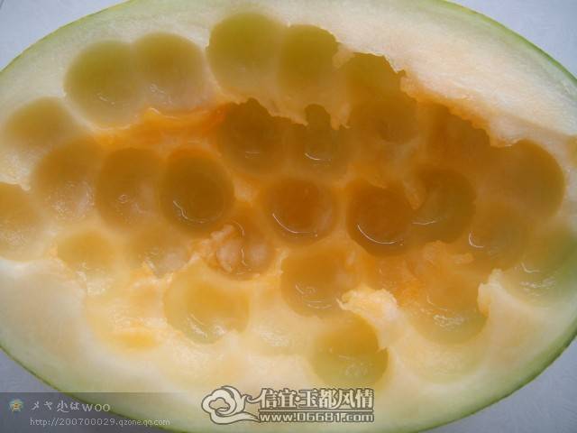 http_imgload[20].jpg