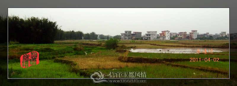 IMG_3636.jpg