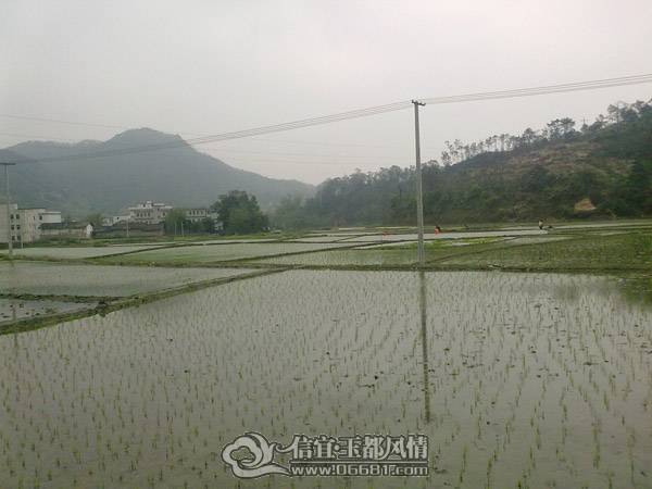 201104041823.jpg