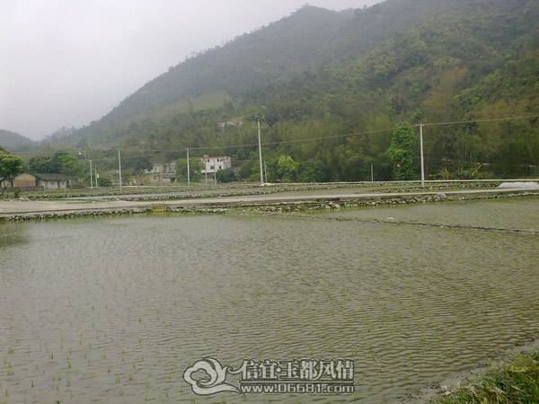201104041825.jpg