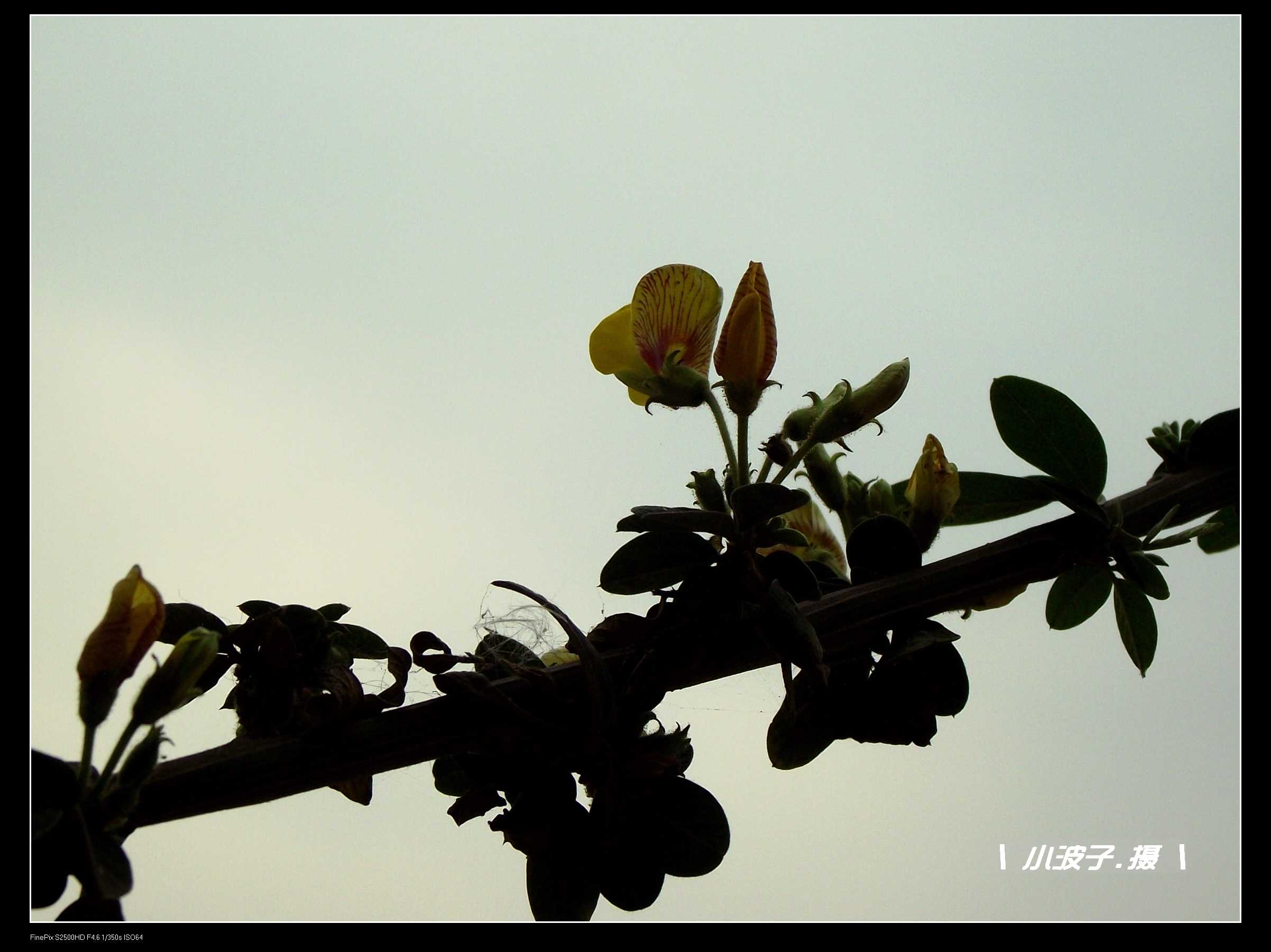 DSCF6158.JPG