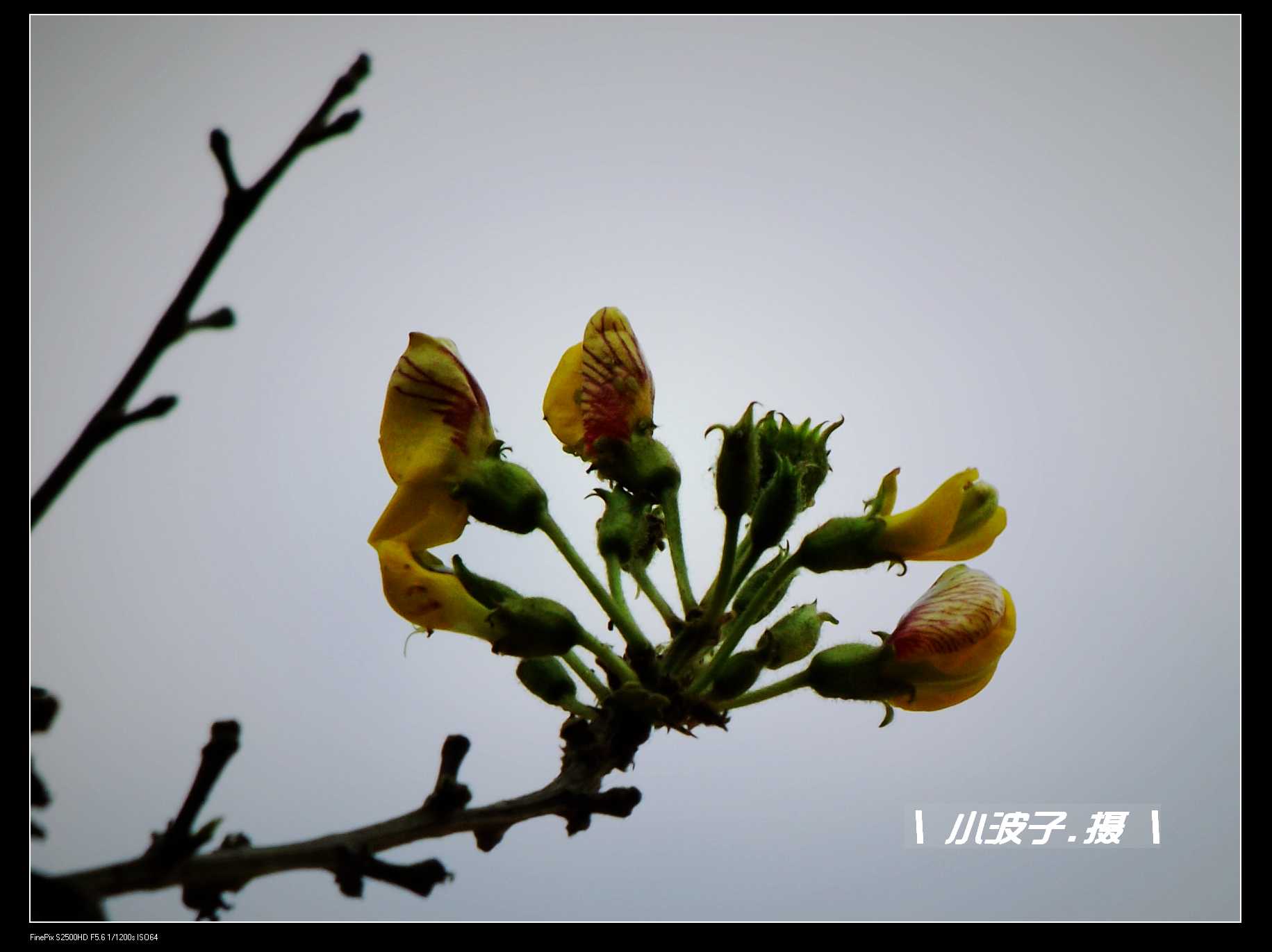 DSCF6170.JPG