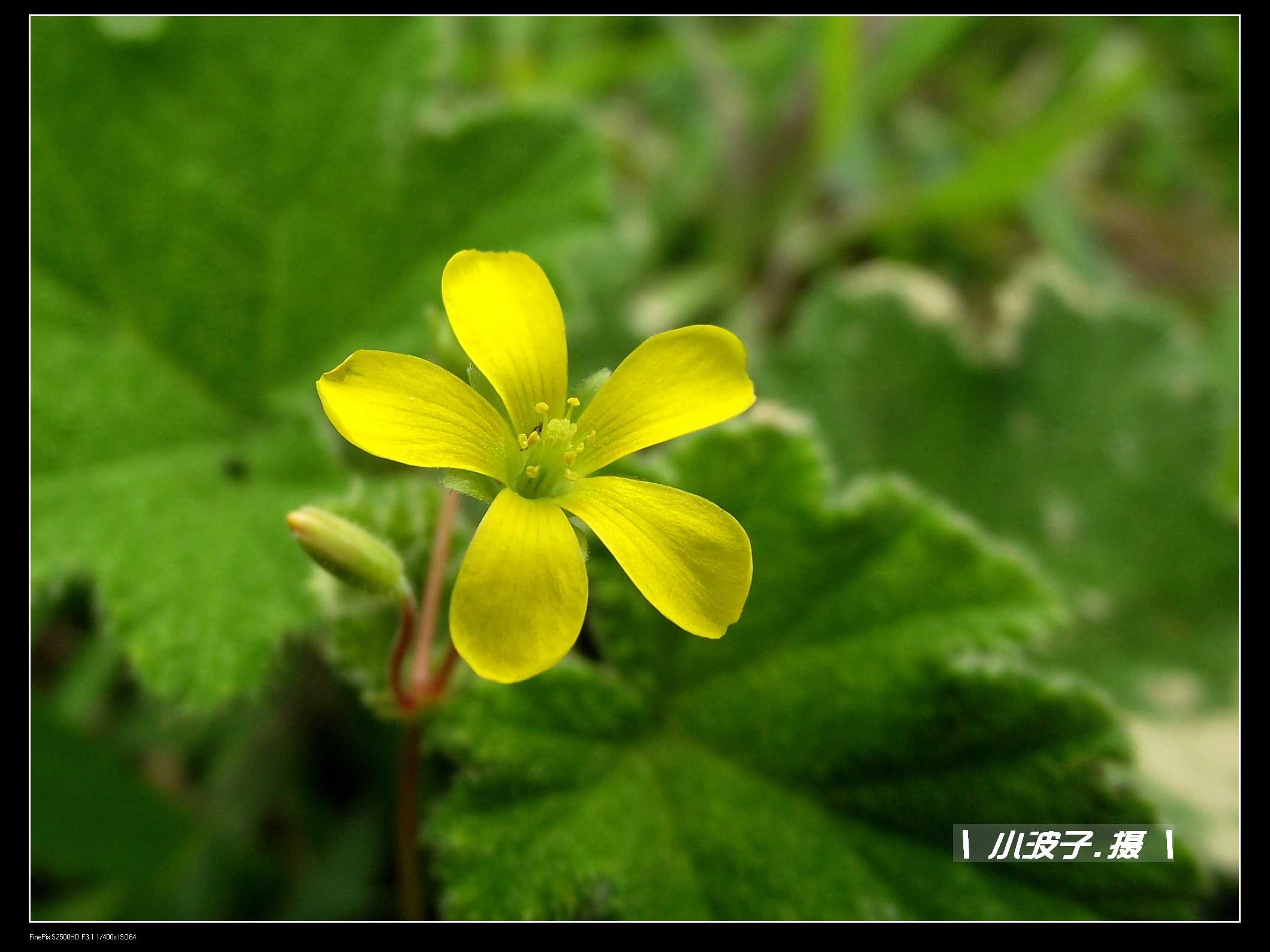 DSCF6193.JPG