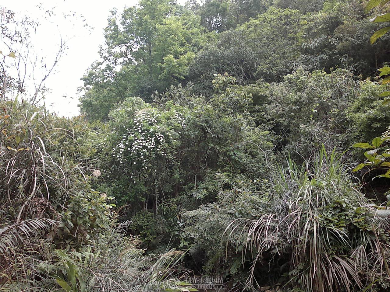 20110410181.jpg