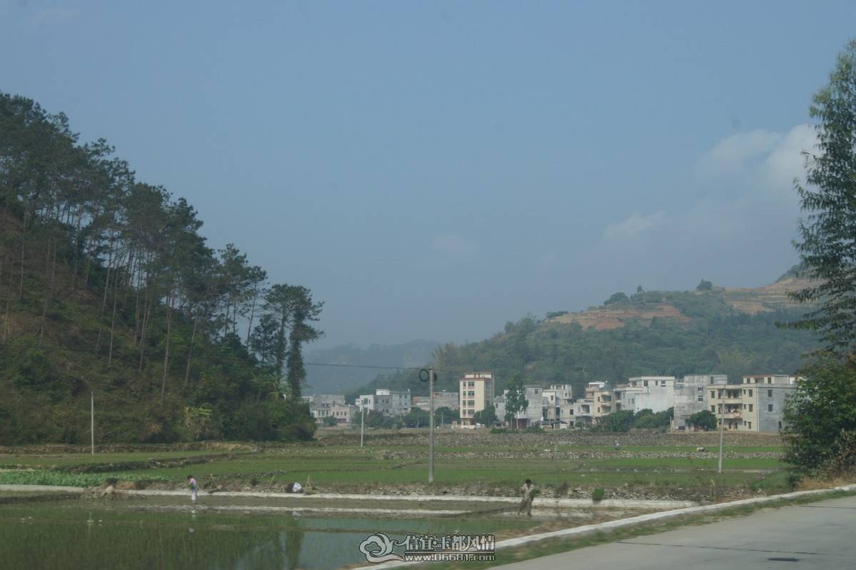 DSC08059.JPG
