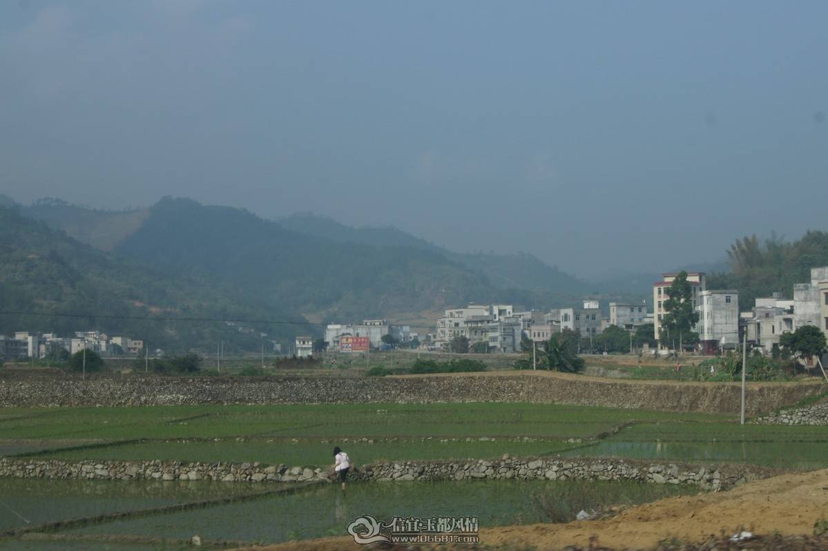 DSC08060.JPG