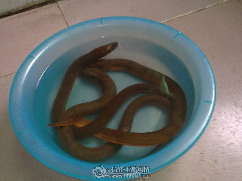 20110409223_����.jpg