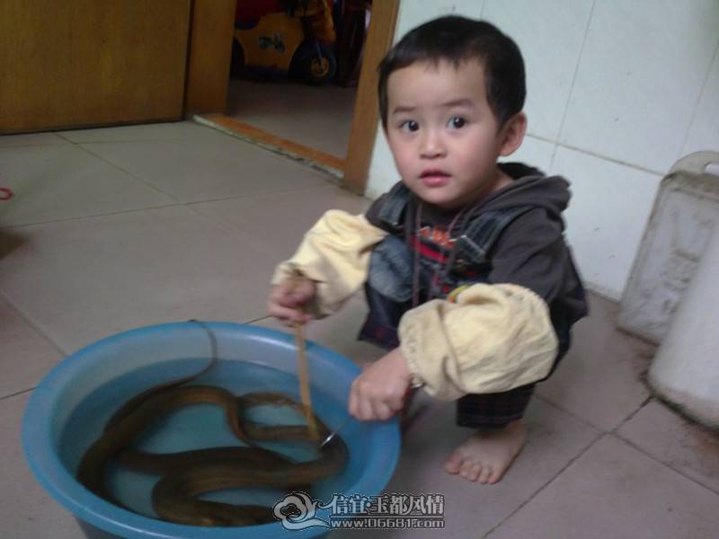 20110409224_����.jpg