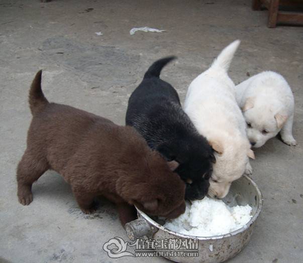 IMG03887_����.jpg