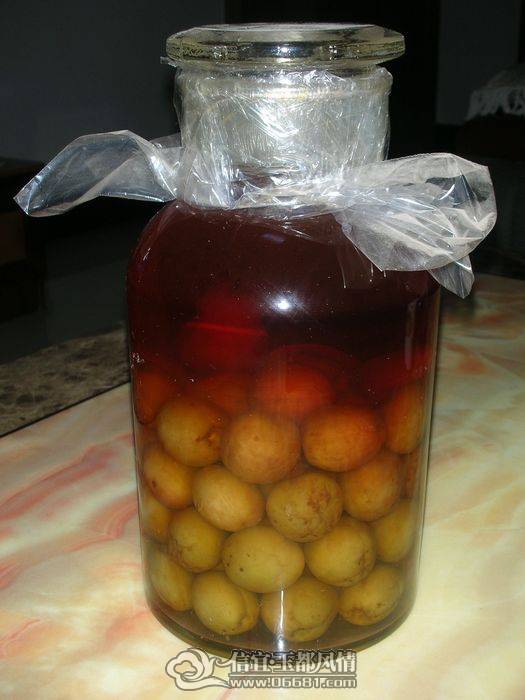 DSCN5666.jpg