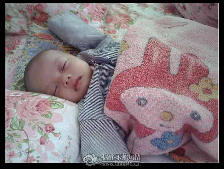 IMG0939A.jpg