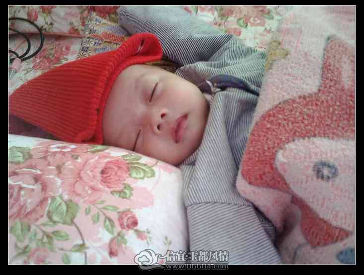 IMG0941A.jpg
