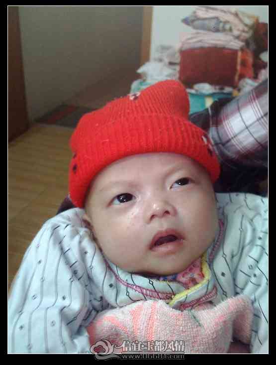 IMG0951A.jpg