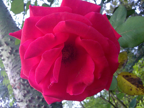 201104142034.jpg