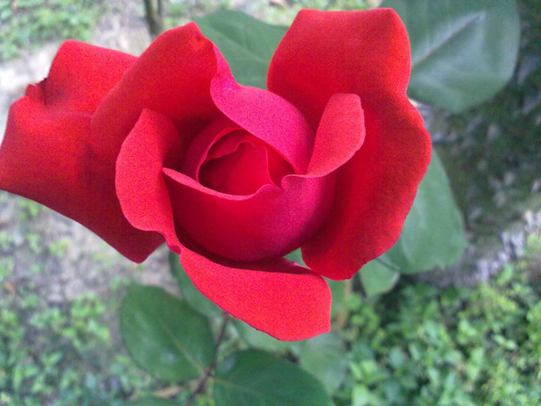 201104142040.jpg