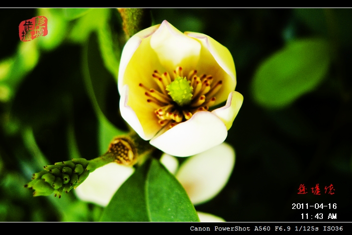 CRW_4834.jpg