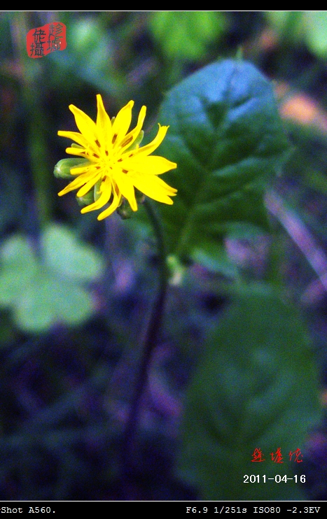 CRW_4849.jpg