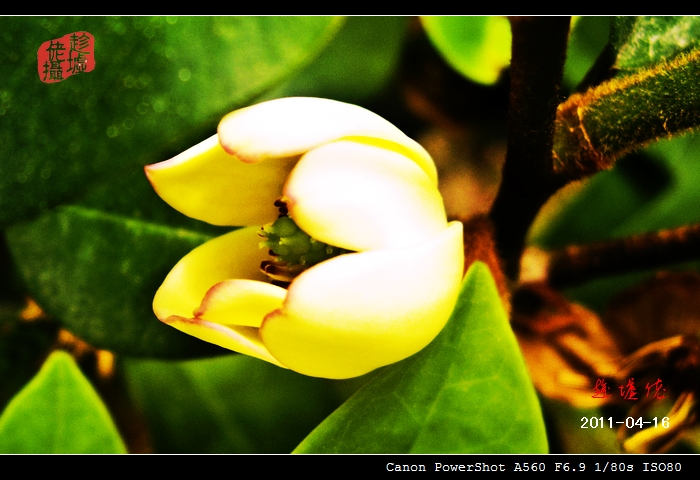 CRW_4865.jpg