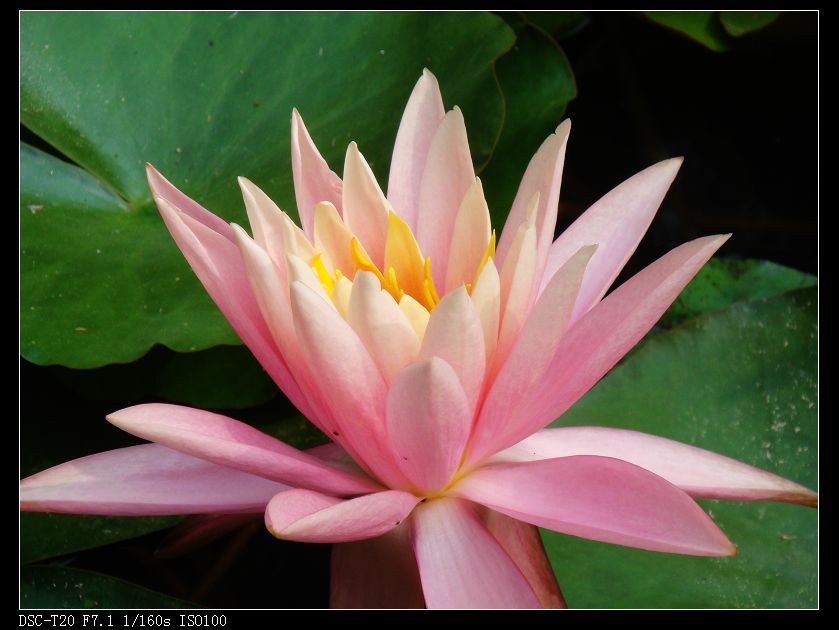 nEO_IMG_DSC08850.jpg
