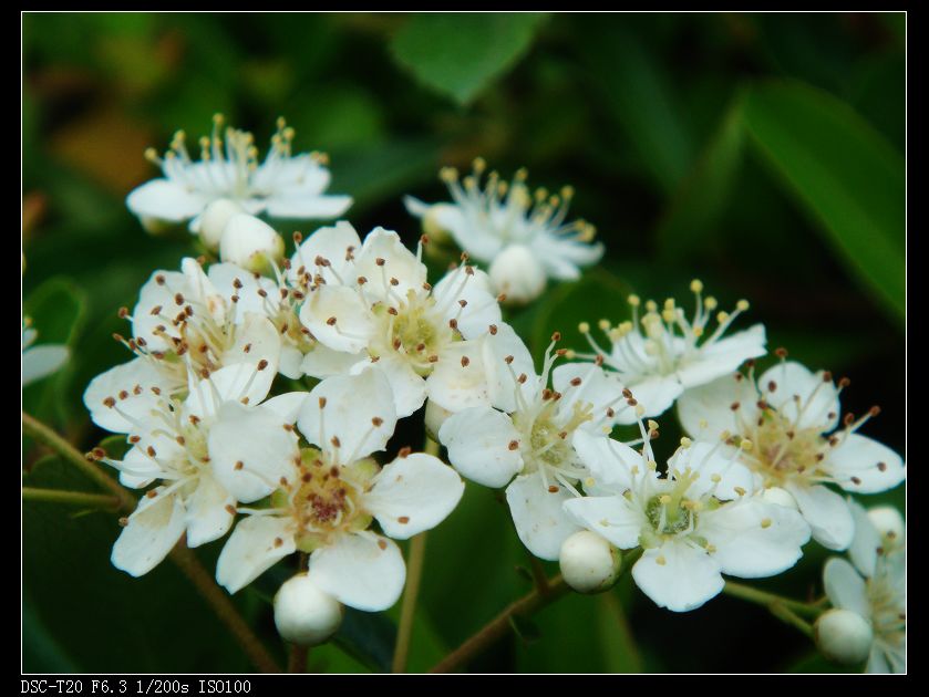 nEO_IMG_DSC08759.jpg