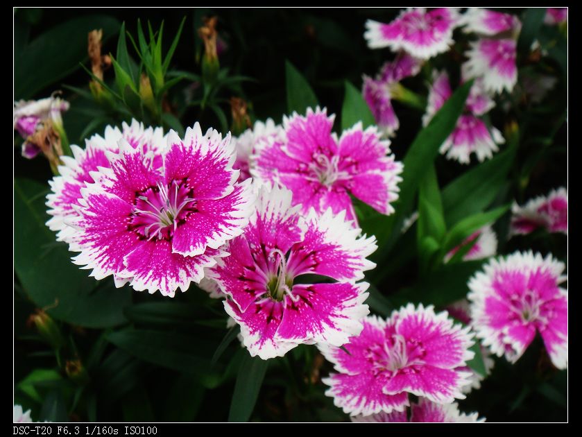 nEO_IMG_DSC08761.jpg