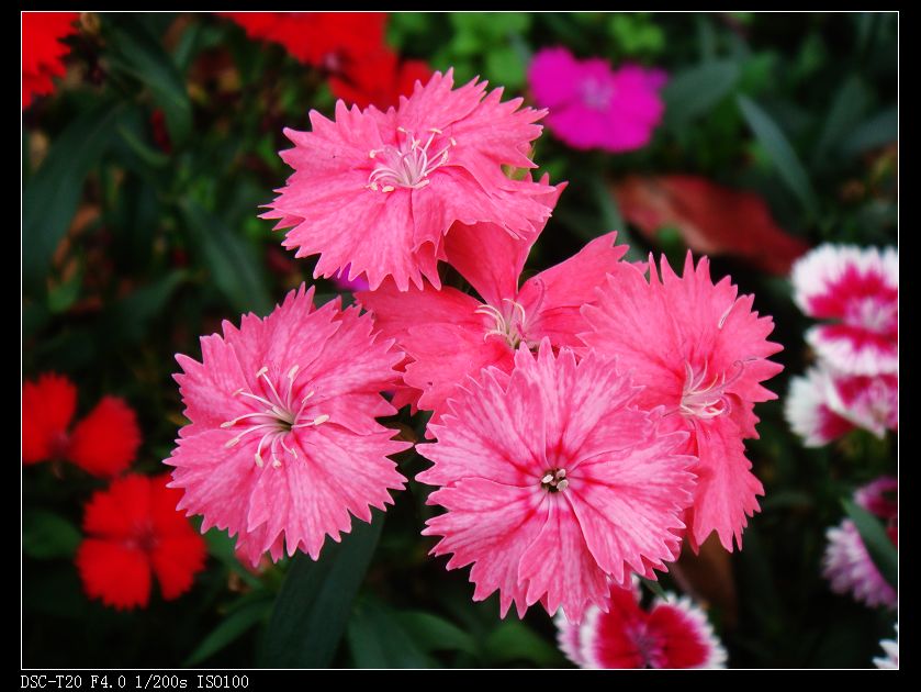 nEO_IMG_DSC08762.jpg
