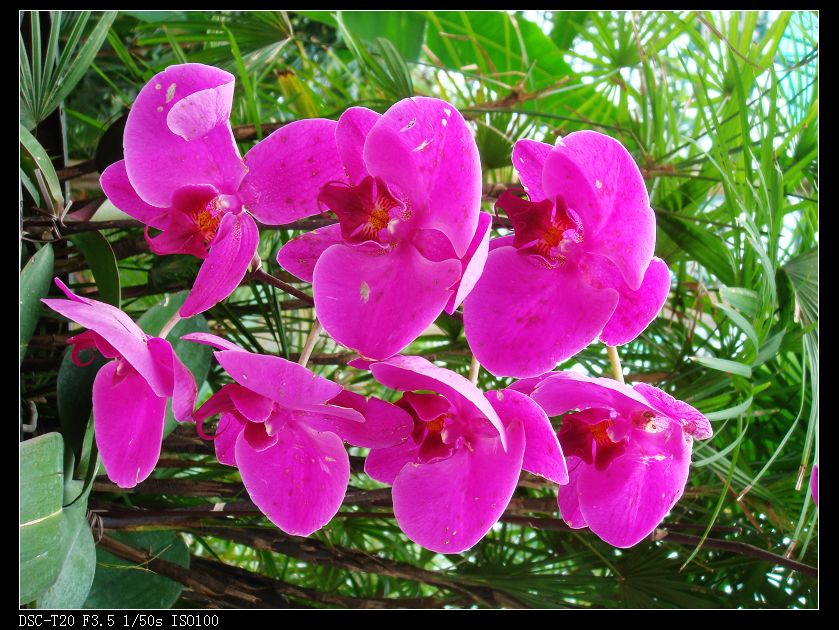 nEO_IMG_DSC08772.jpg