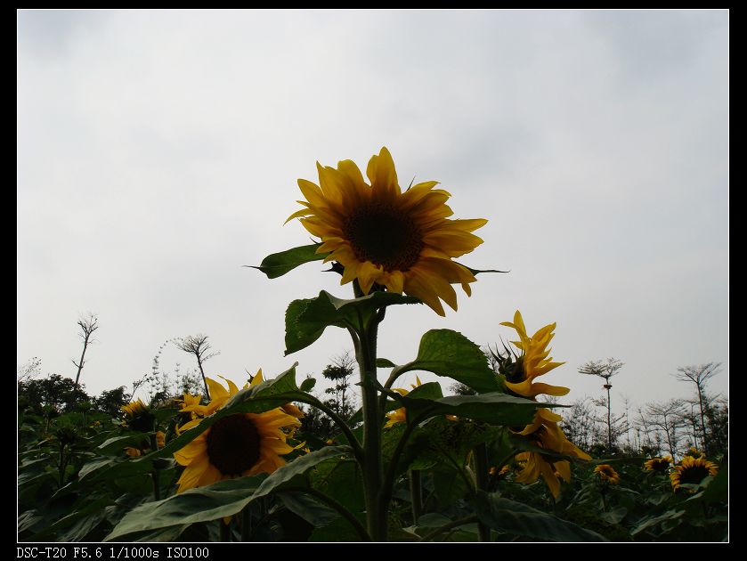 nEO_IMG_DSC08828.jpg