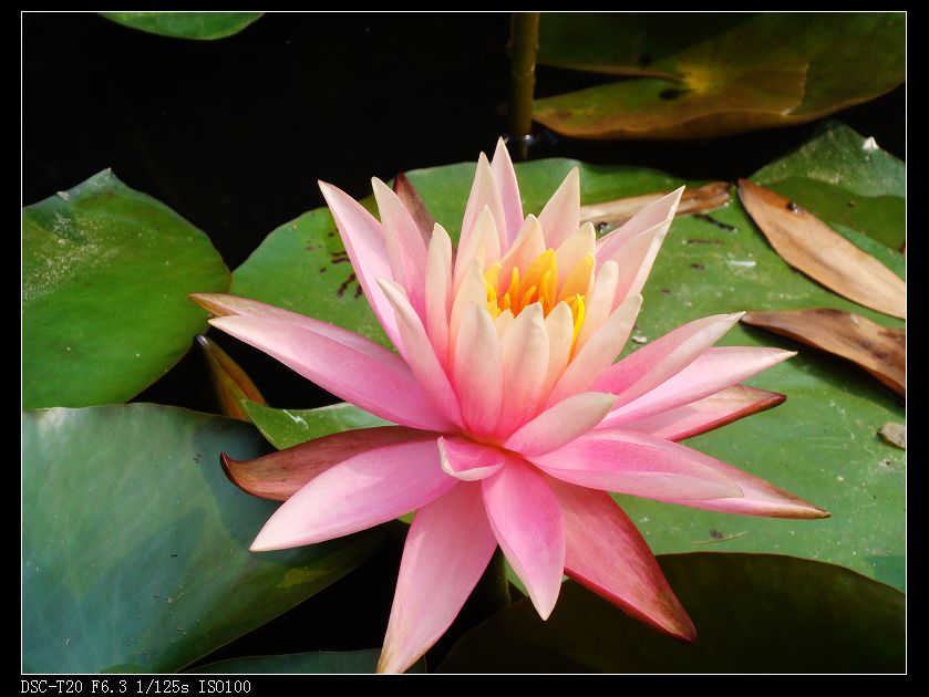 nEO_IMG_DSC08848.jpg