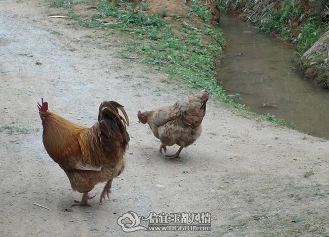 ��Ƭ 020_����.jpg