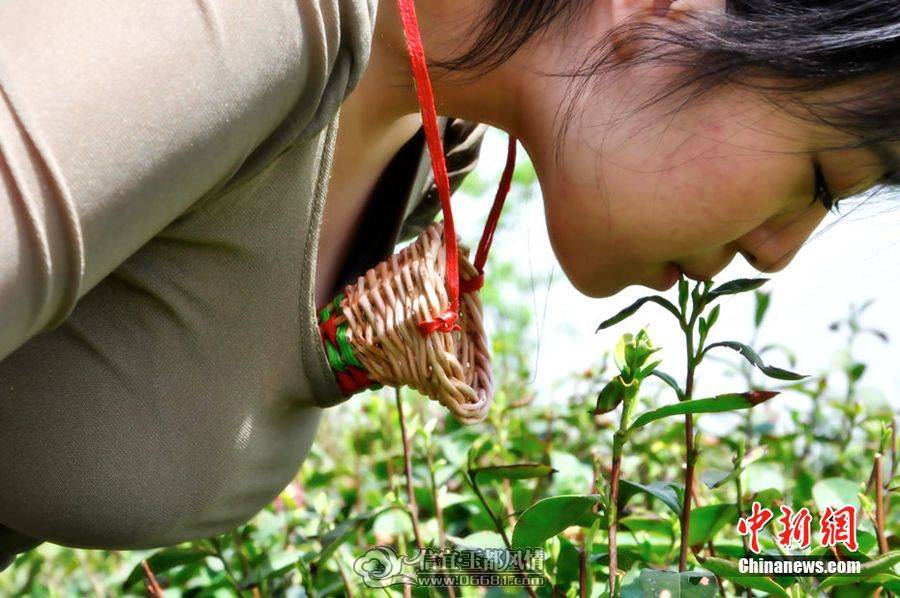 900x600_721CNS0G00AP0001.jpg