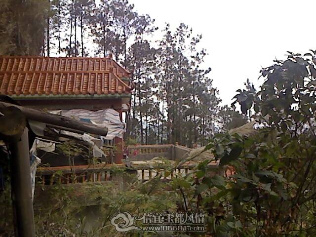 IMG1073A.jpg