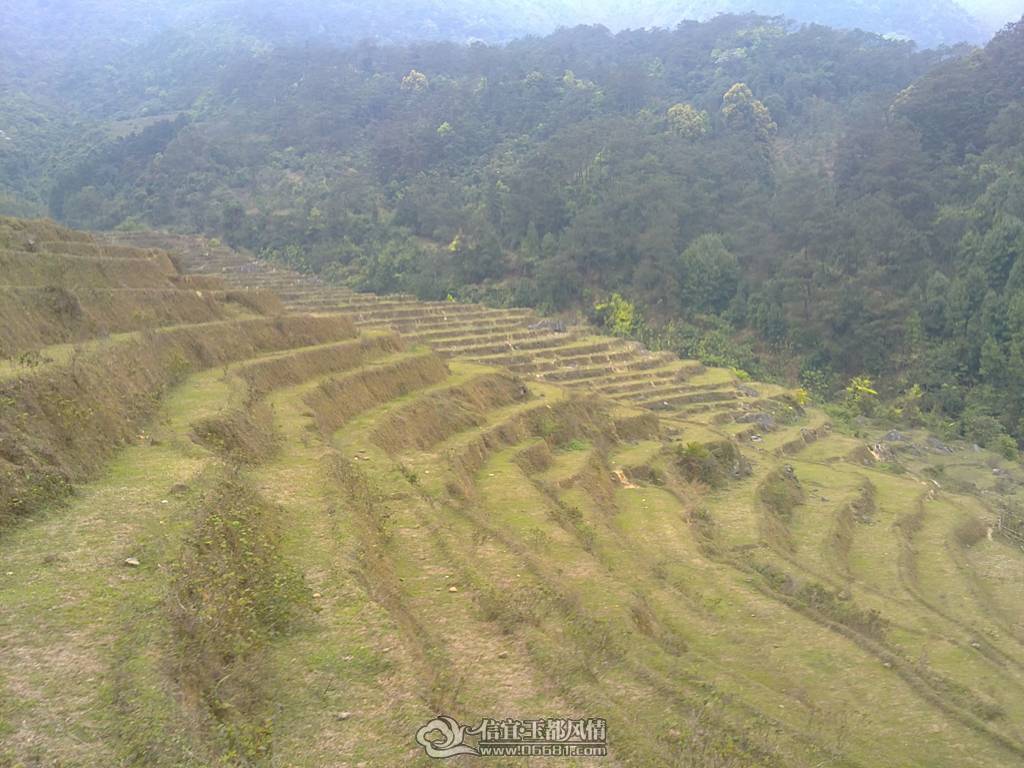 20110403232.JPG