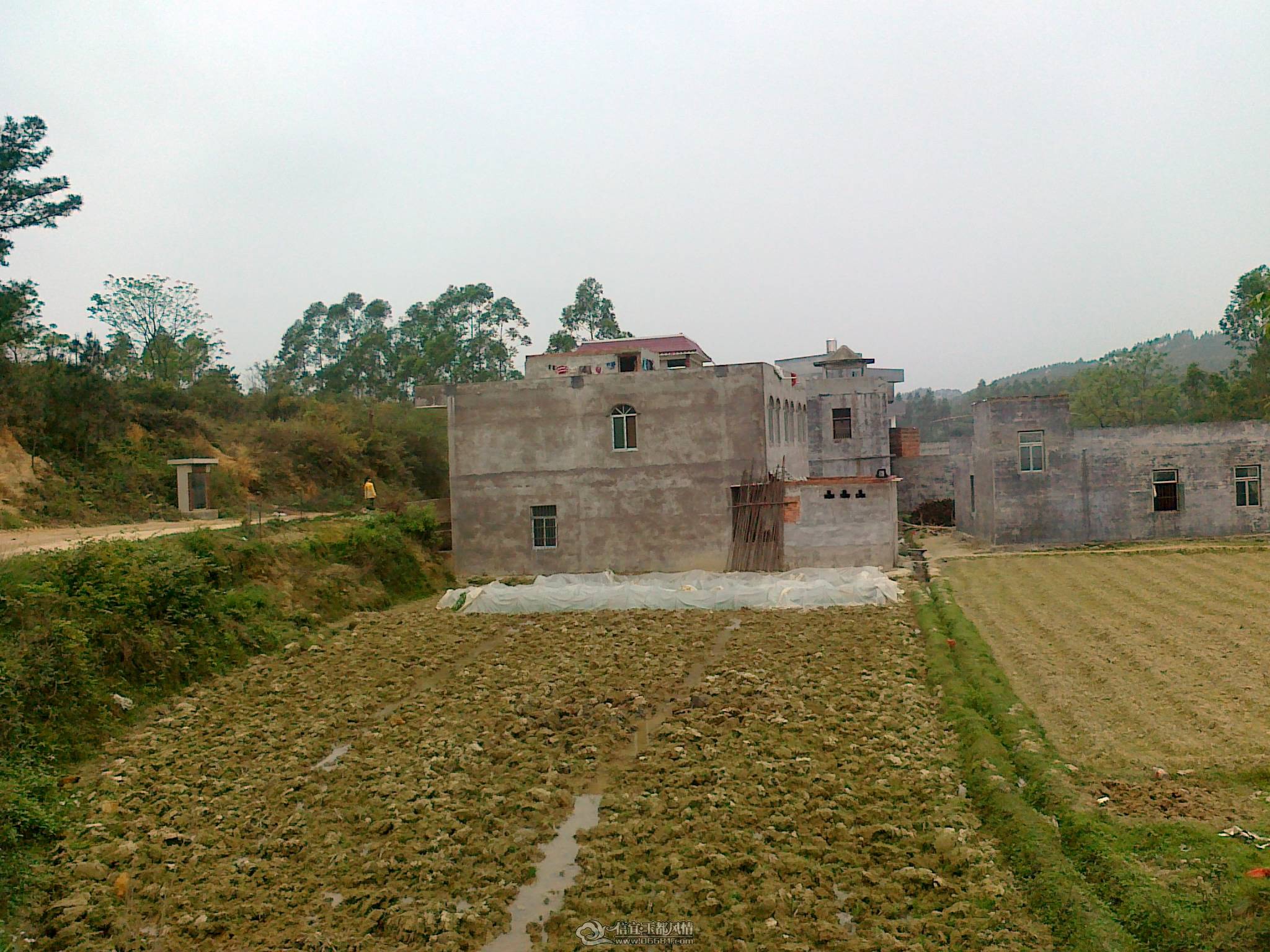 20110403988.jpg