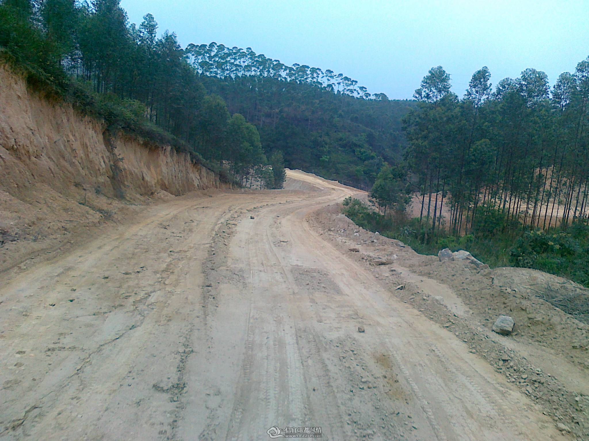 20110404994.jpg