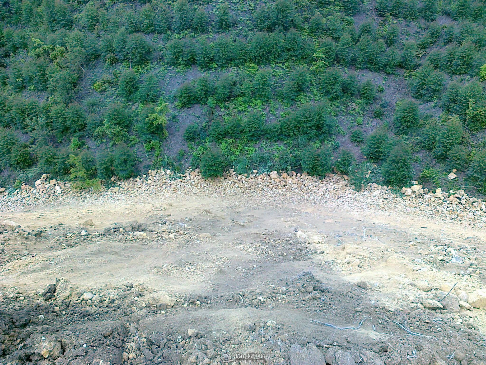20110407997.jpg