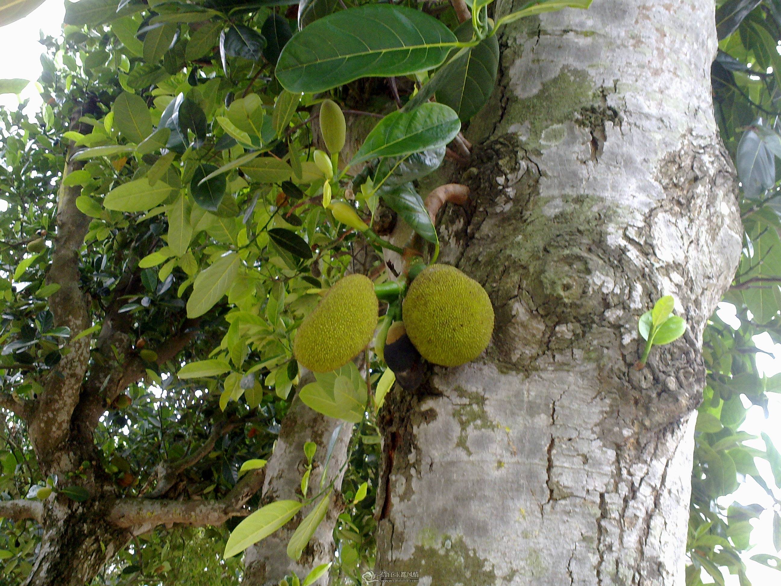 201104261342.jpg