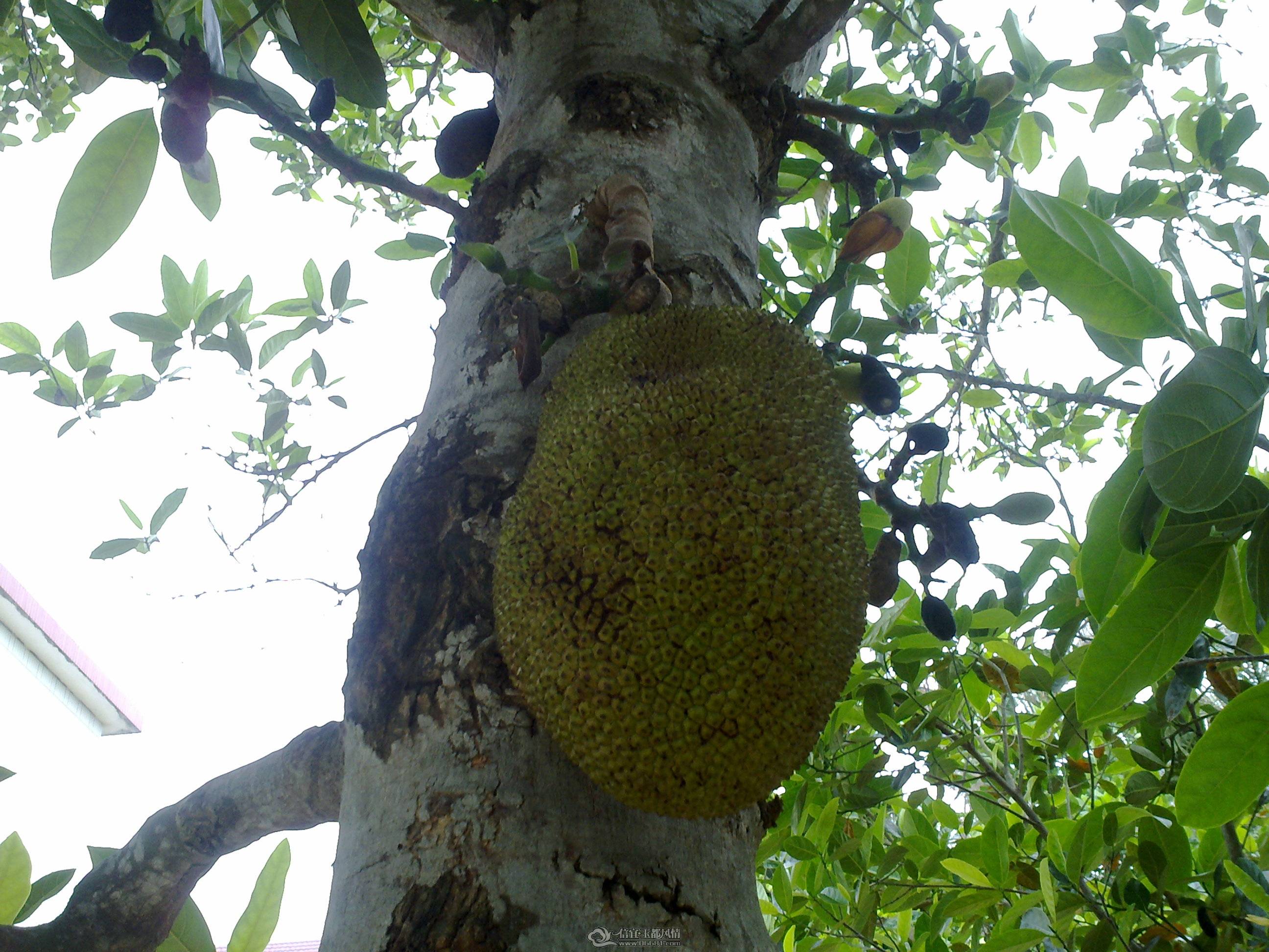 201104261343.jpg