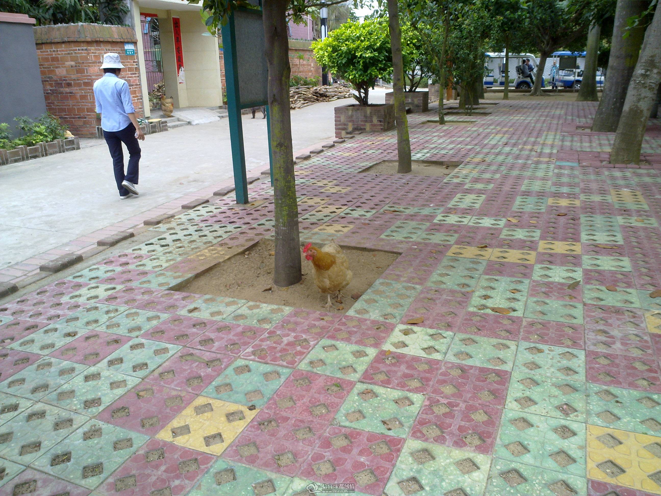 201104261345.jpg