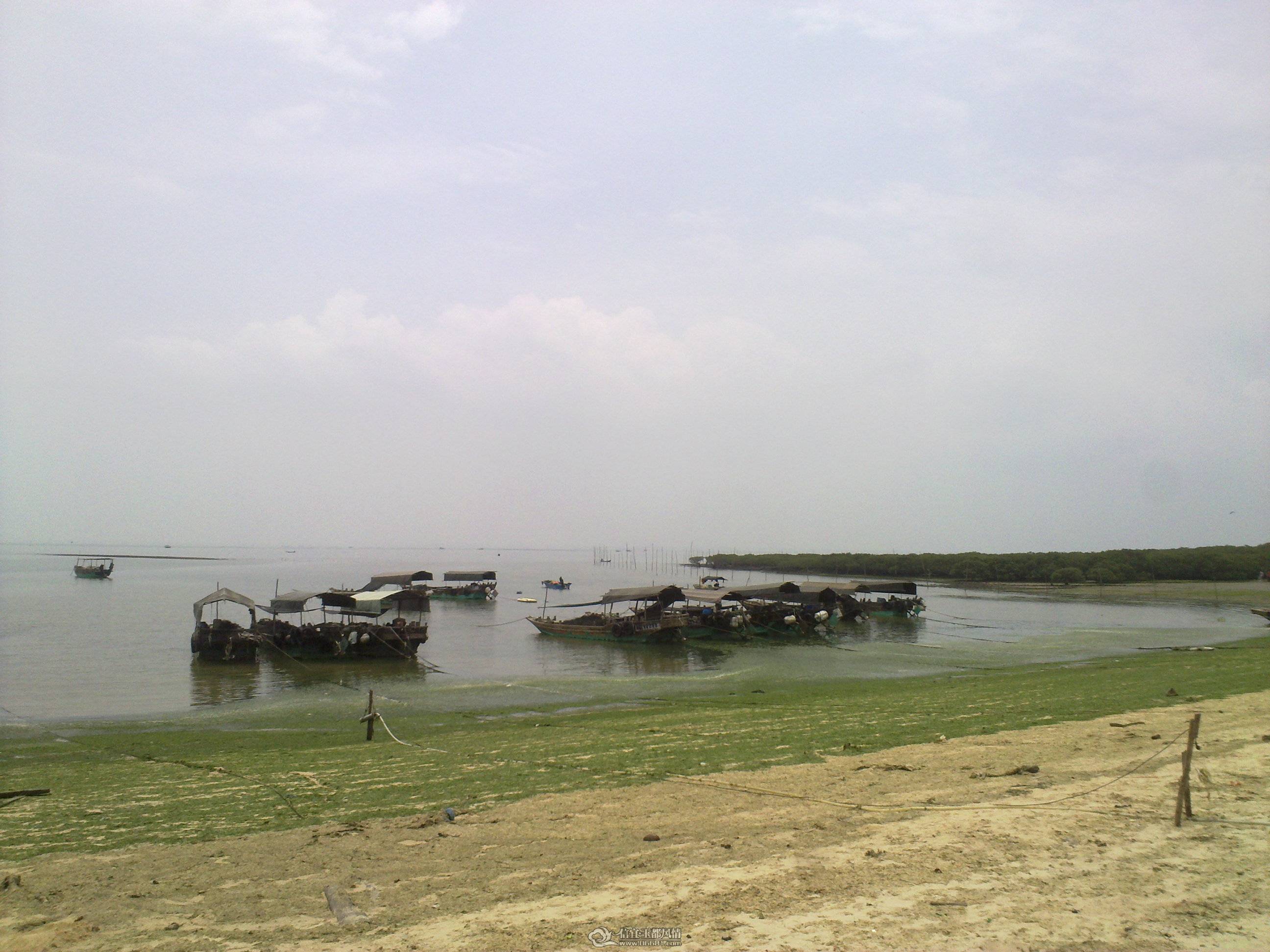 201104261347.jpg