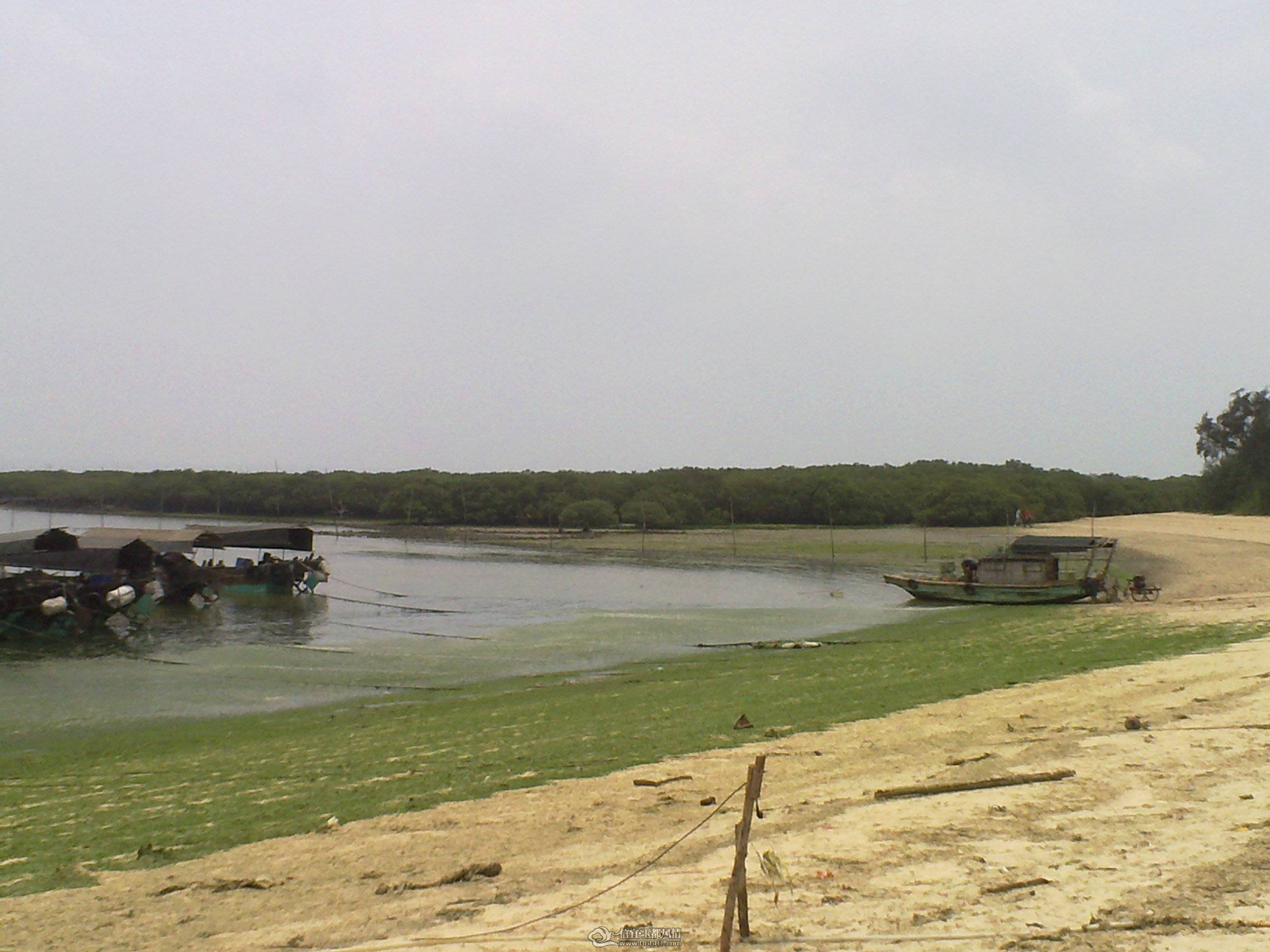 201104261348.jpg