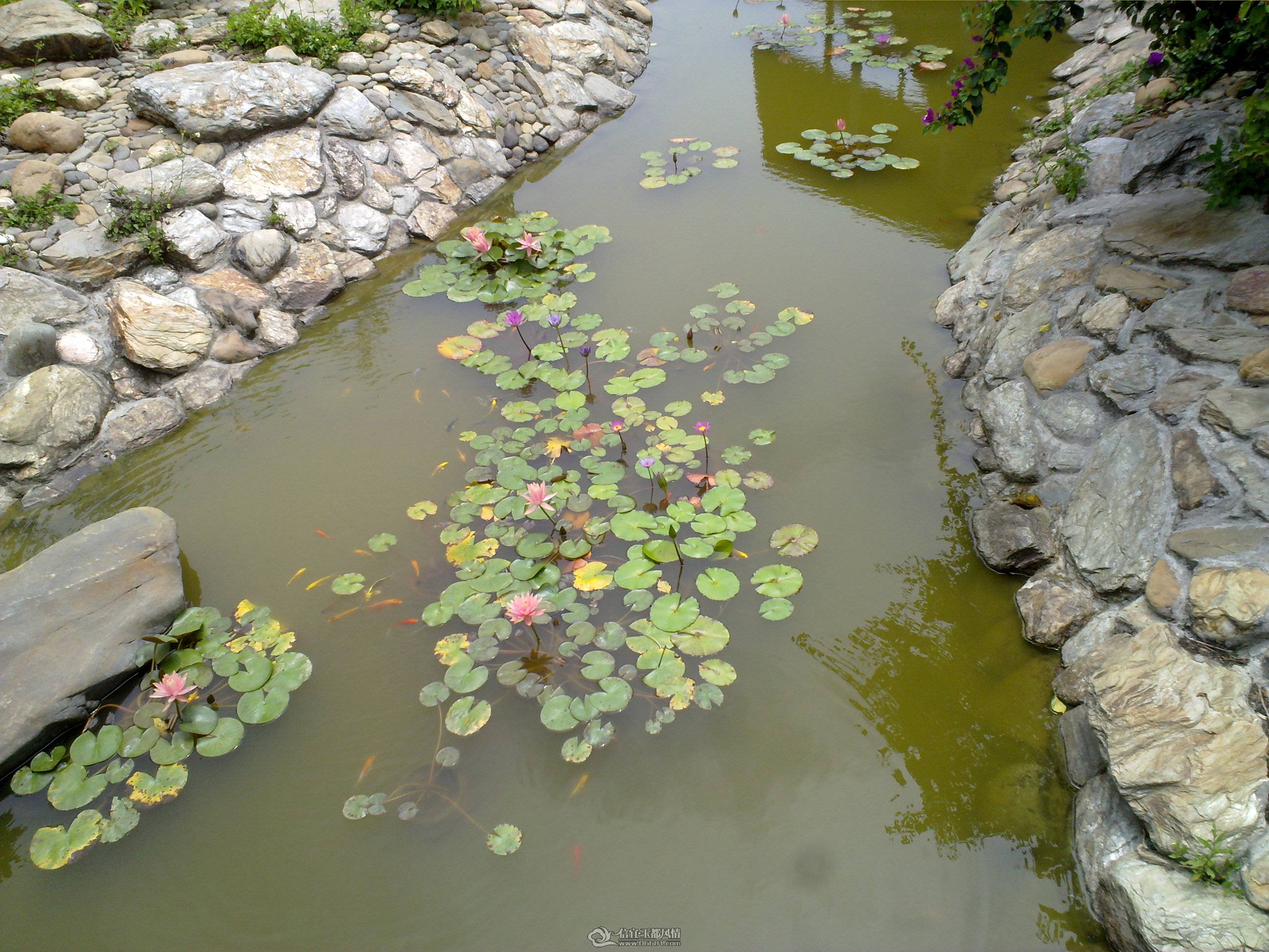 201104261349.jpg
