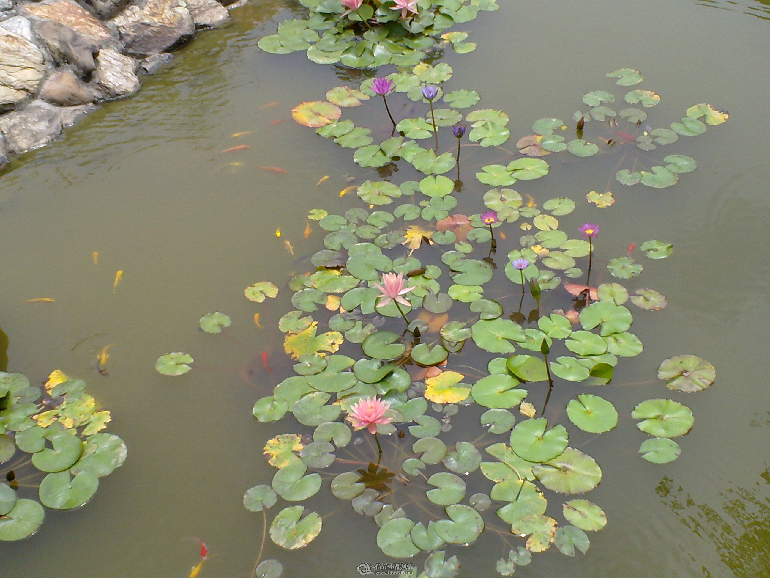 201104261350.jpg