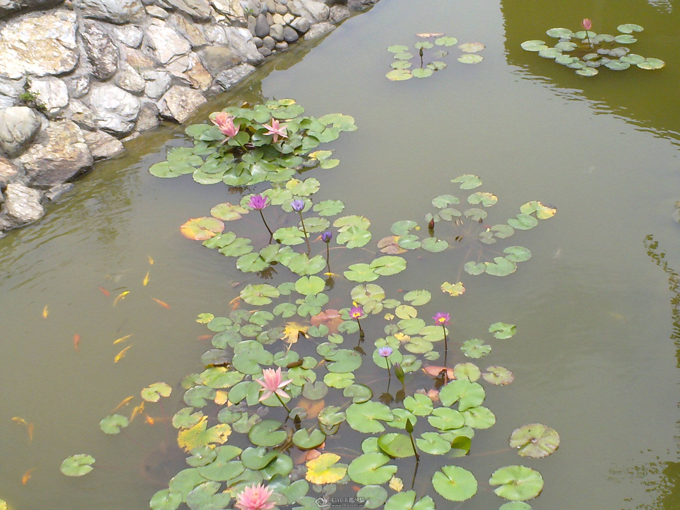 201104261351.jpg
