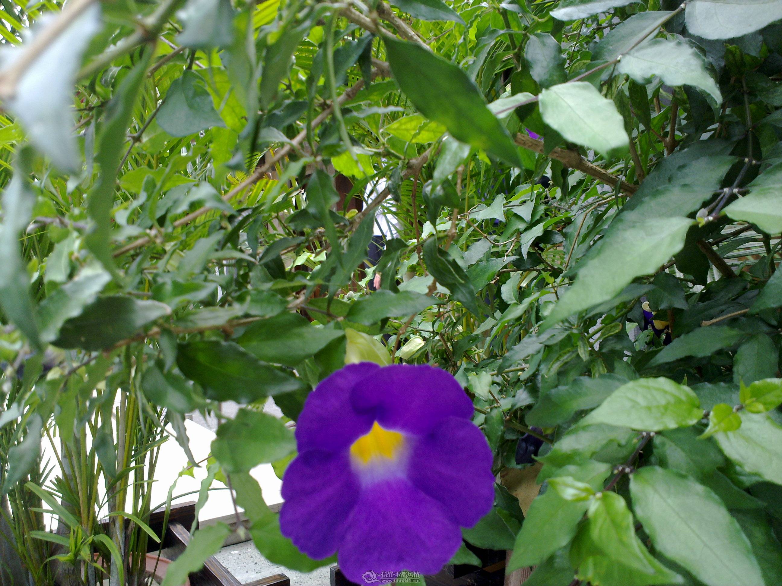 201104261353.jpg