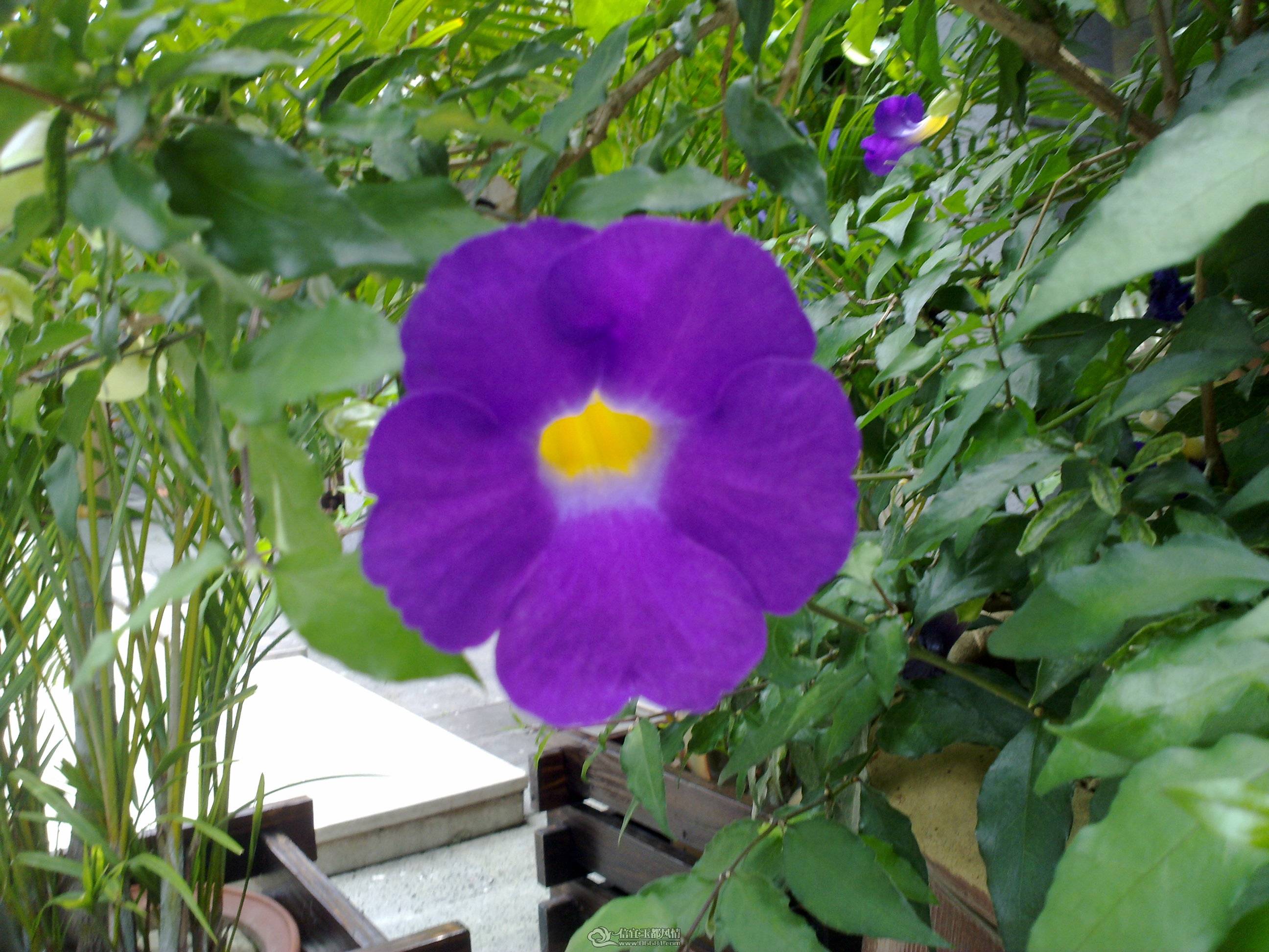 201104261354.jpg