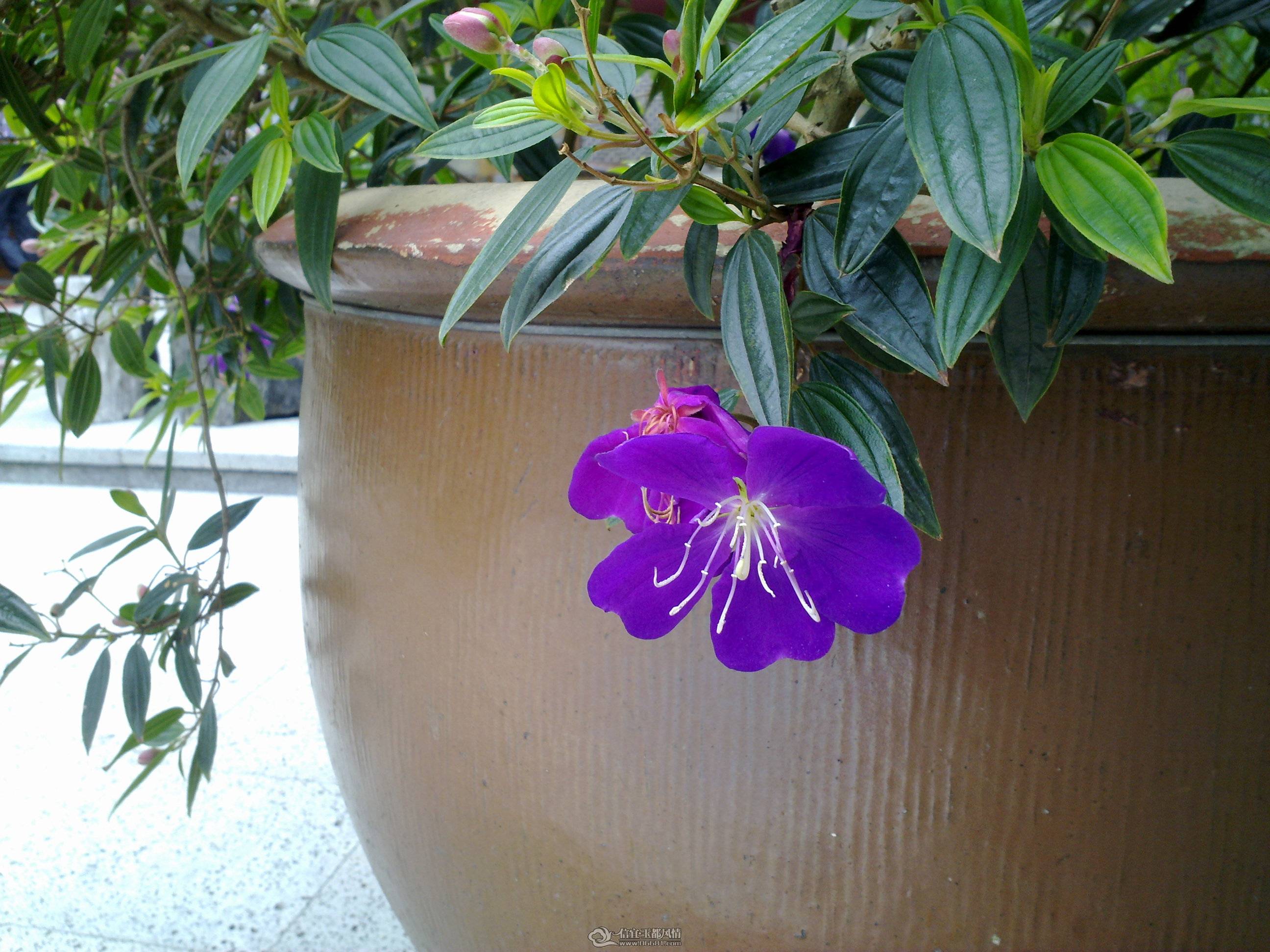 201104261359.jpg