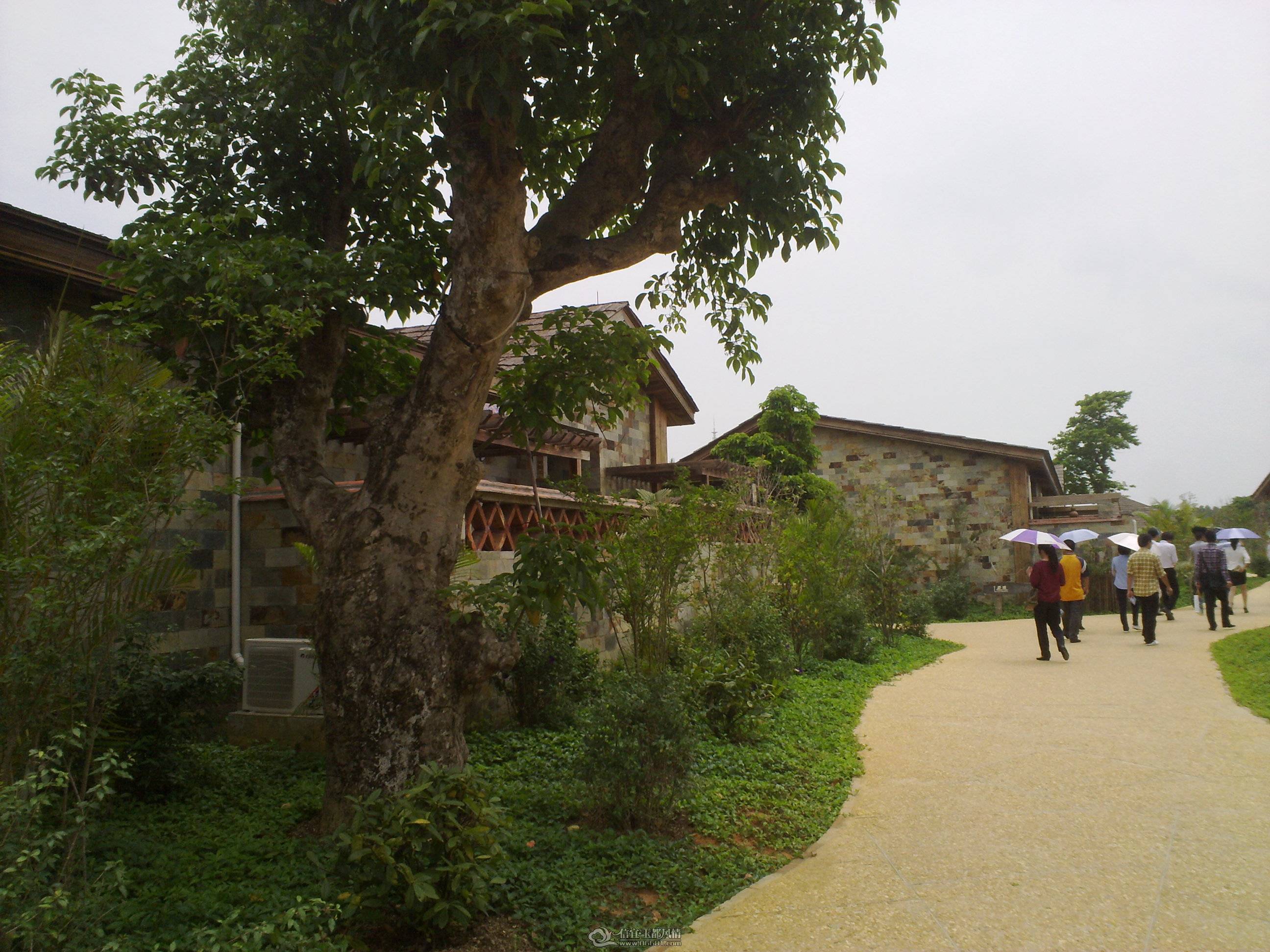 201104261363.jpg